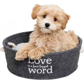 Trixie Cesta Lian con Cojn Lavable