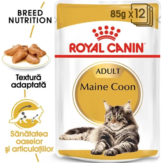 Royal Canin Maine Coon Adulto Comida Húmeda en Salsa 85g x 12