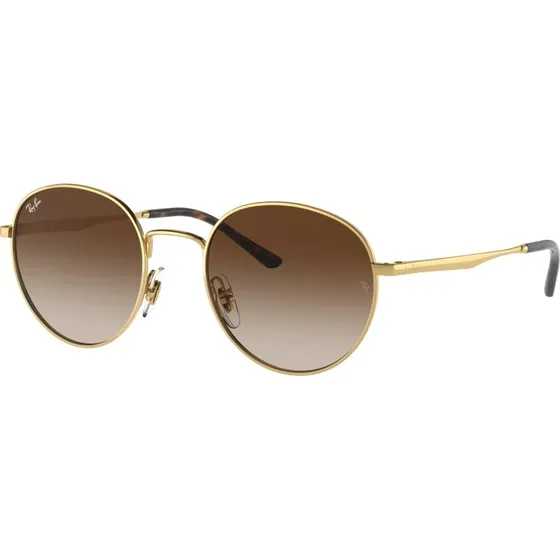 Ray-Ban RB3681 001/13 Dorado Marrón