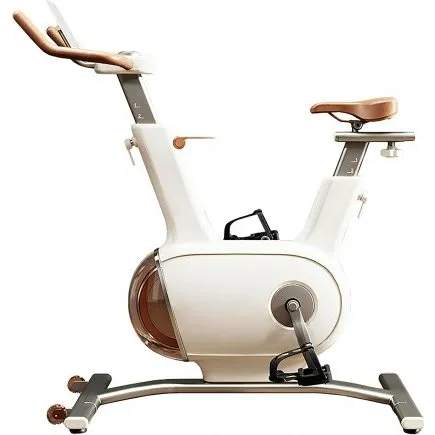 Clover Fitness Sophy W1 Bicicleta Indoor Magnética