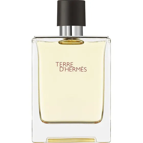 Hermès Terre d'Hermès Eau de Toilette 100 ml