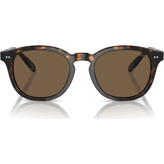 Polo Ralph Lauren Gafas de Sol PH 4206 Pantos Habano Marrón 52mm