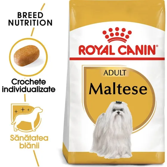 Royal Canin Maltés Adulto Alimento Seco para Perros, 1.5kg