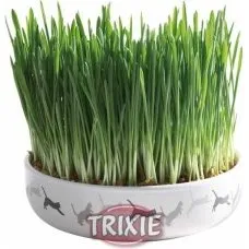 Trixie Bol Cerámica con Semillas Hierba Gatera 50g