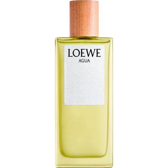 Loewe Agua de Loewe Eau de Toilette 100 ml