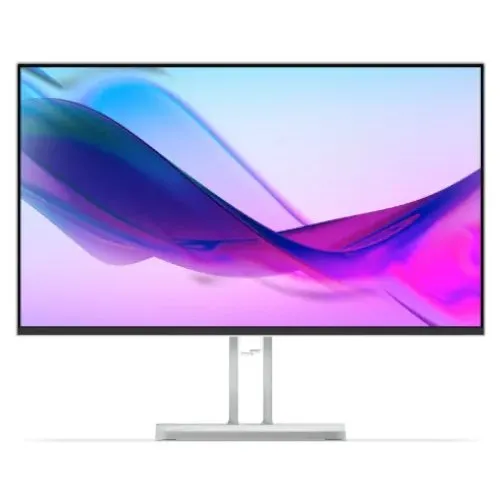 Lenovo L24i-4B 23.8" Full HD IPS 100 Hz Gris