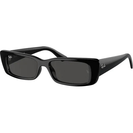 Ray-Ban TERU RB4425 667787 Negras