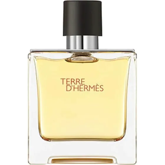 Hermès Terre d'Hermès Pure Parfum EDP 75 ml