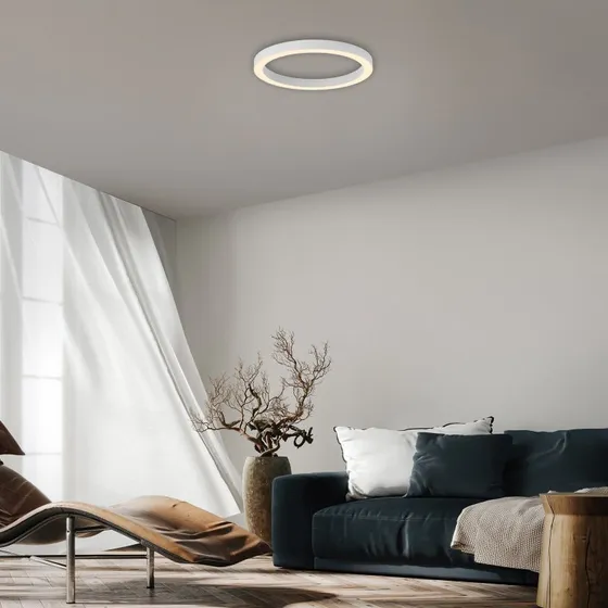Paul Neuhaus Lámpara LED de Techo PURE Lines Ø 50 cm, CCT, Control Remoto