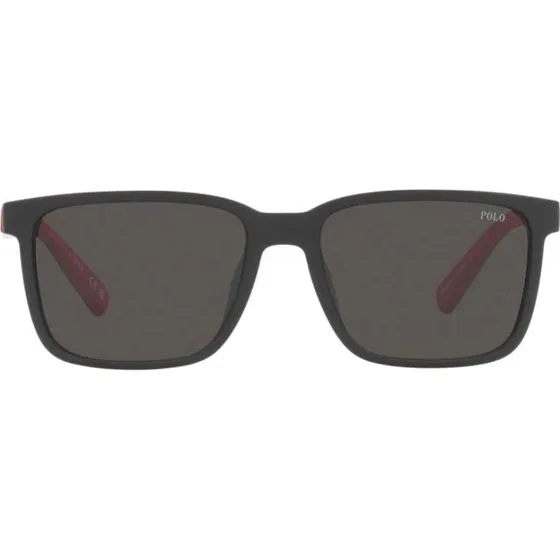 Polo Ralph Lauren Gafas de Sol PH 4189U Geométricas Negro/Gris