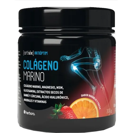 Artisix Colgeno Marino 300 gr