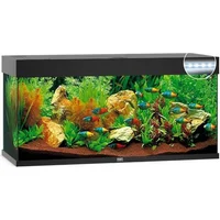 Alimentos y accesorios para peces
