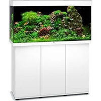 Alimentos y accesorios para peces