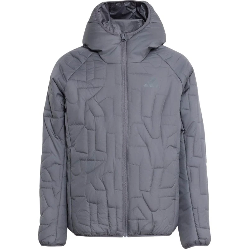Adidas Terrex Xperior Chaqueta de Montaña Gris