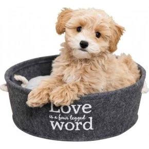 Trixie Cesta Lian con Cojín Lavable