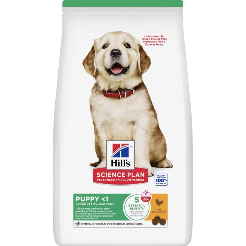 Hill's Science Plan Large Breed Puppy Pollo