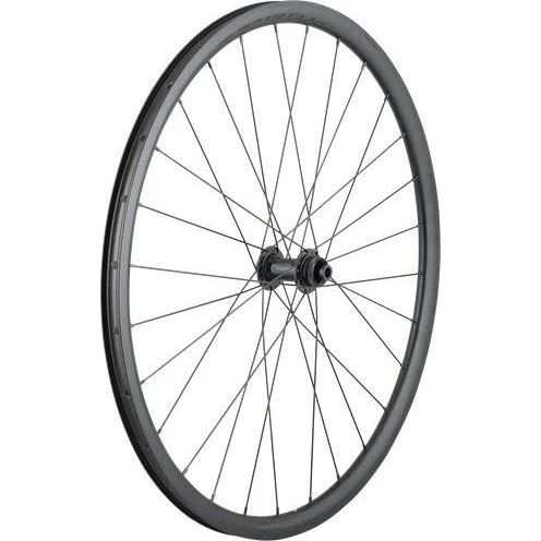 Bontrager Affinity TLR Centerlock Disc 28H