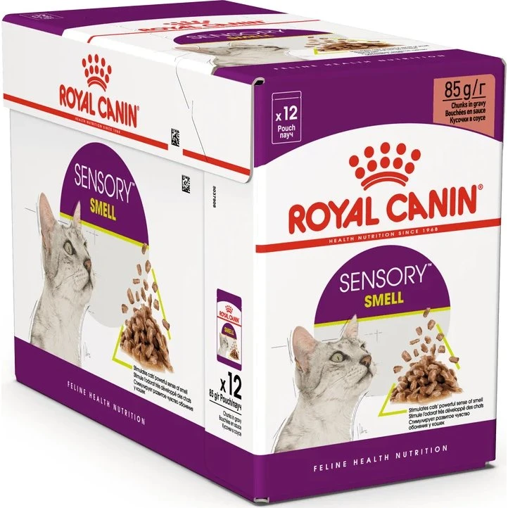 Royal Canin Sensory Smell Comida Húmeda para Gatos en Salsa, 12 x 85 g
