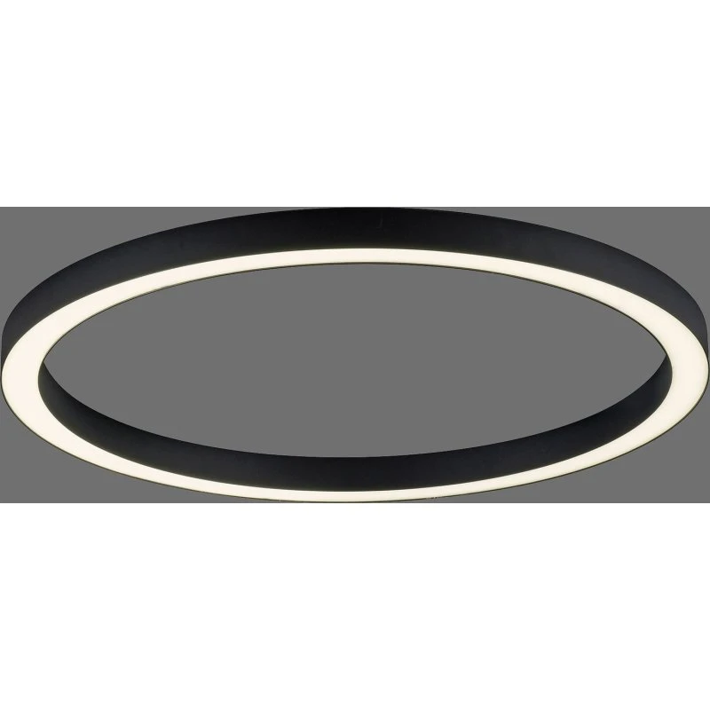 Paul Neuhaus Lámpara LED de techo PURE Lines Round, Ø 70 cm, Grafito