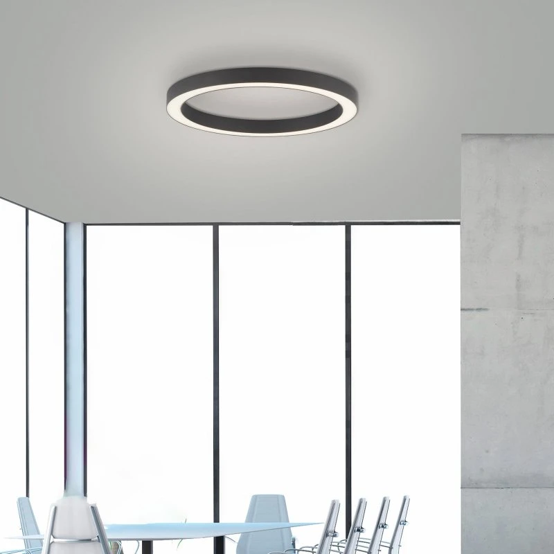 Paul Neuhaus Lámpara LED de techo PURE Lines Round, Grafito, Ø 50 cm