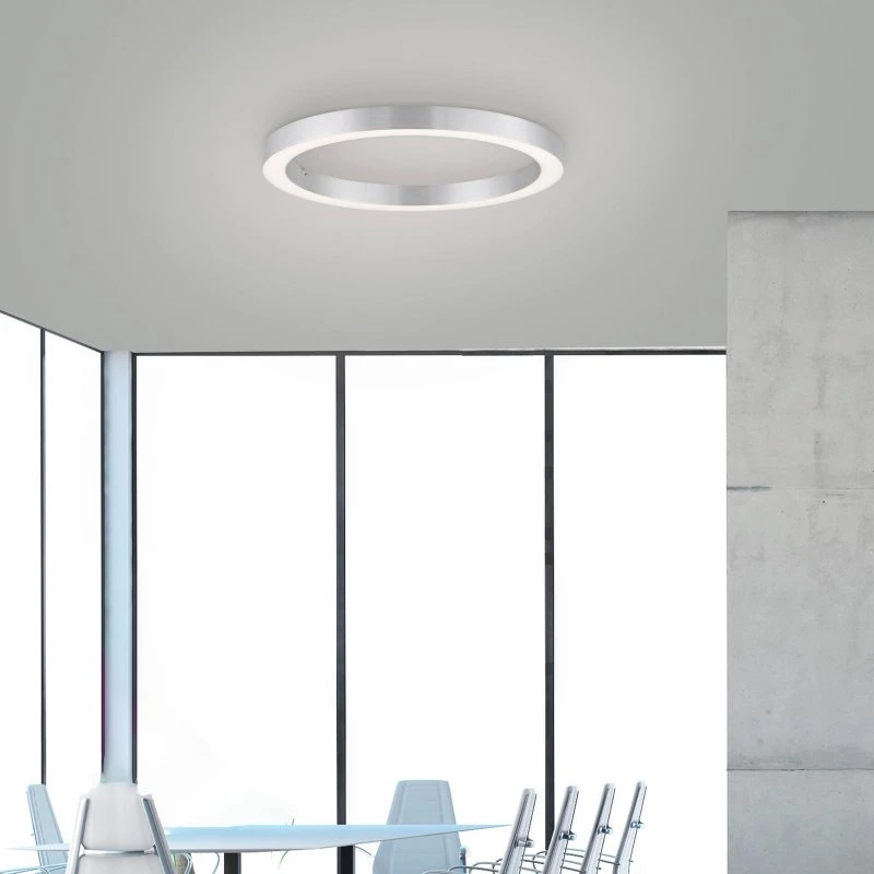 Paul Neuhaus Lámpara LED de Techo PURE Lines Round, Ø 50 cm, Diamante