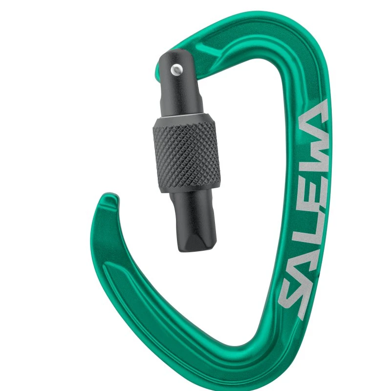 Salewa Ortles Screw Mosquetón con Cierre de Rosca