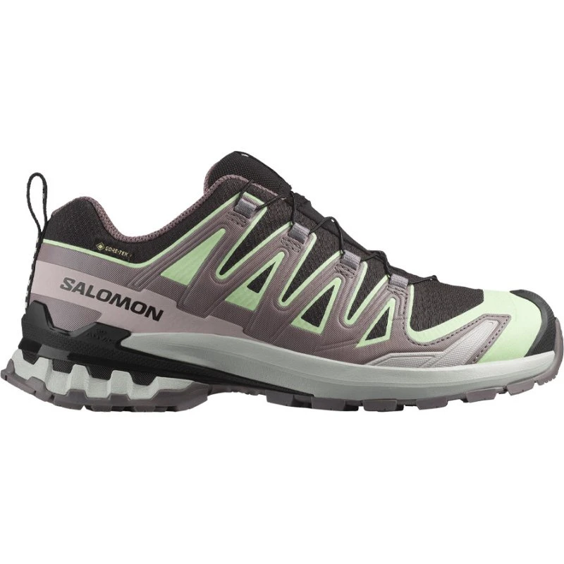 Salomon XA Pro 3D V9 GTX W Black/Patina Green/Gray Violet