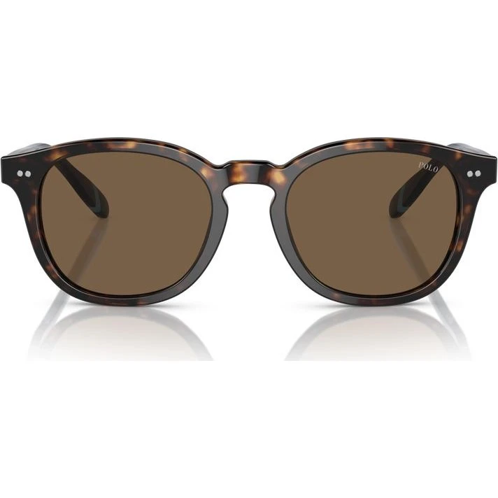 Polo Ralph Lauren Gafas de Sol PH 4206 Pantos Habano Marrón 52mm