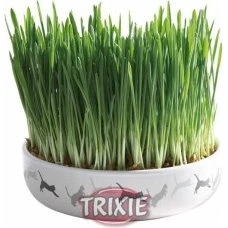 Trixie Bol Cerámica con Semillas Hierba Gatera 50g