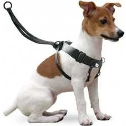 Easy Walker XL Arnés de Entrenamiento