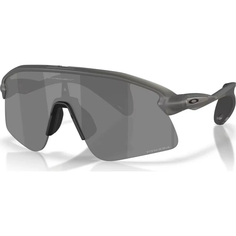 Oakley Stunt Devil S Prizm Black