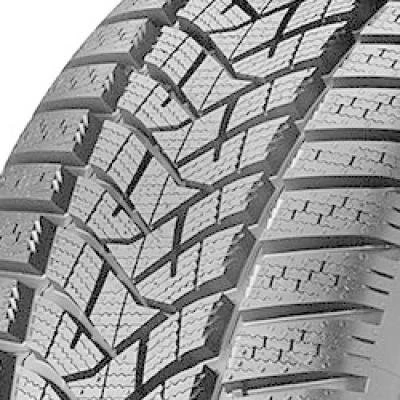 Dunlop Winter Sport 5 255/55 R19 111V