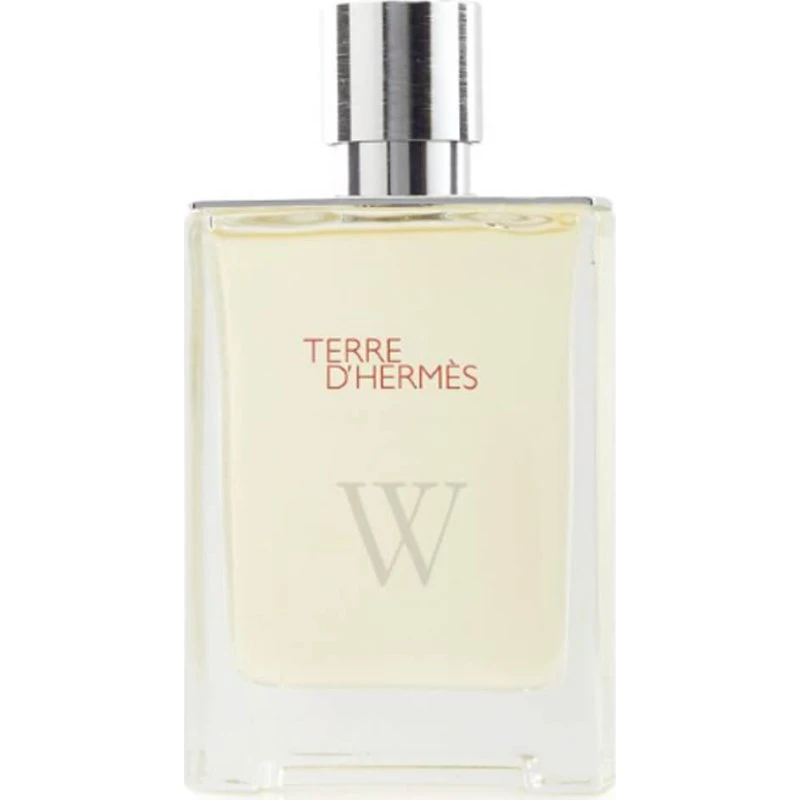 Hermès Terre d'Hermès Eau Givrée Eau de Parfum 100 ml Rellenable