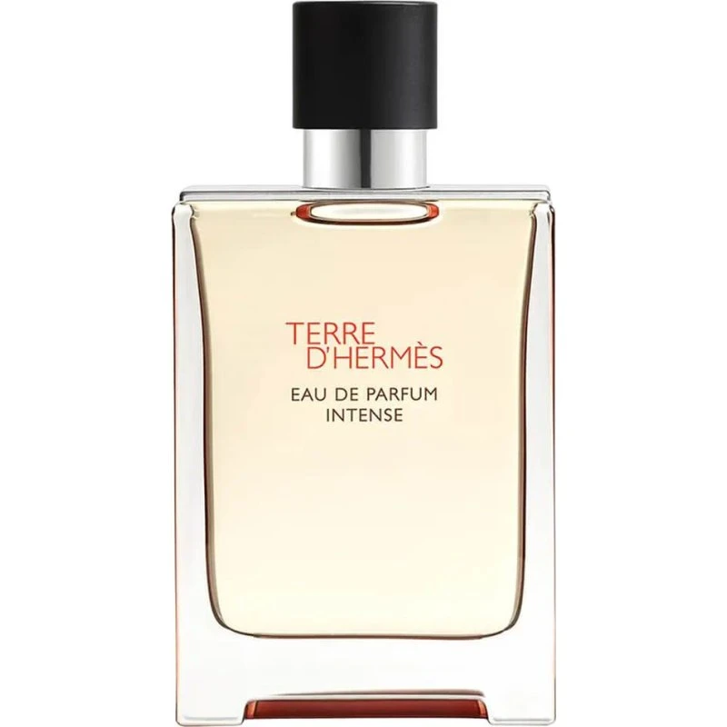 Hermès Terre d'Hermès Eau de Parfum Intense 100 ml