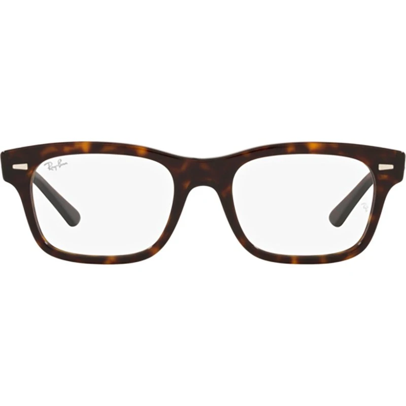 Ray-Ban RX5383 2012 Carey 52