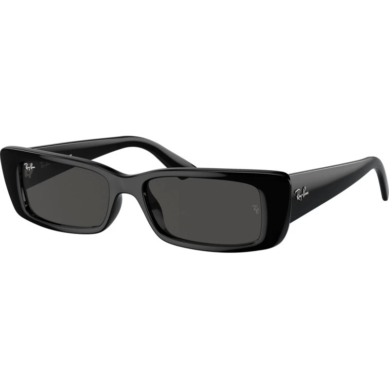 Ray-Ban TERU RB4425 667787 Negras