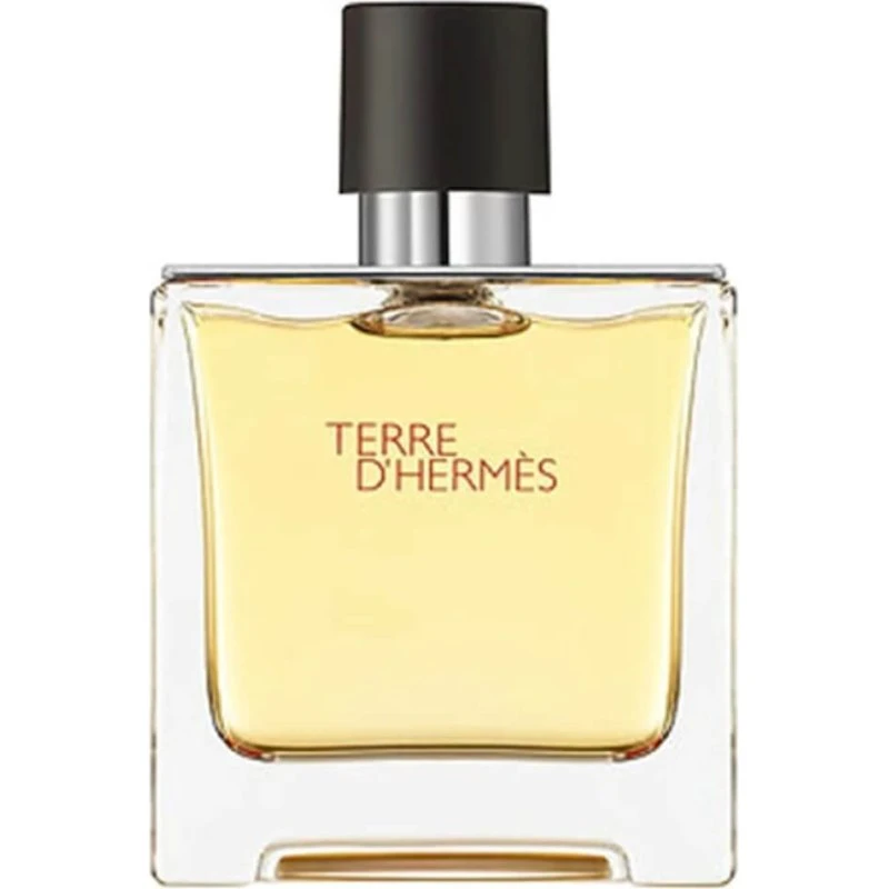 Hermès Terre d'Hermès Pure Parfum EDP 75 ml