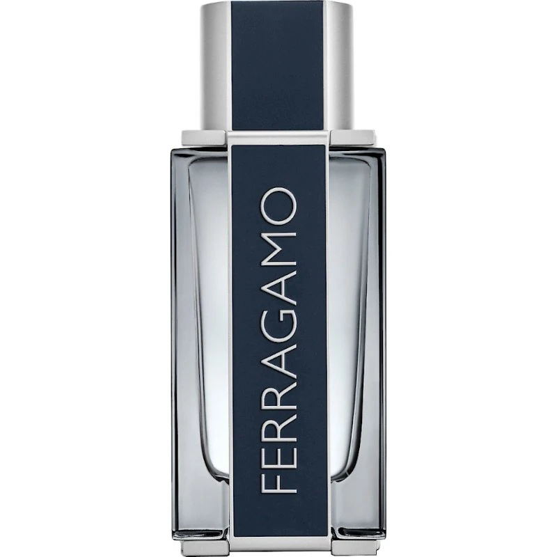 Salvatore Ferragamo Homme Parfum