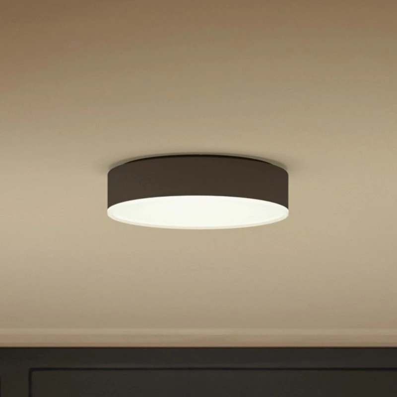 Philips Hue Enrave Lámpara de Techo LED 26,1 cm Negro