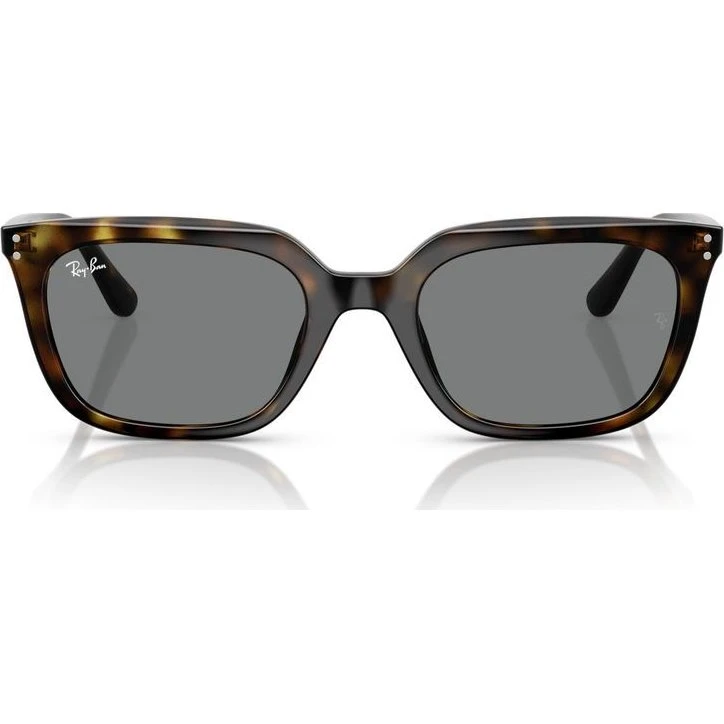 Ray-Ban RB 4439D Gafas de Sol Unisex Habano Gris 54mm