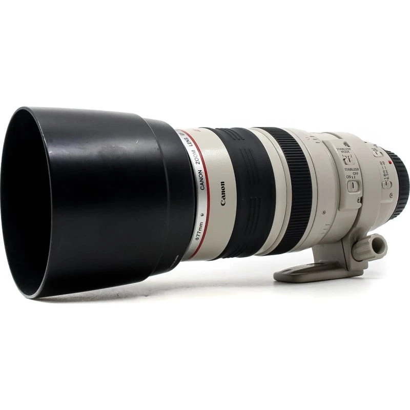 Canon EF 100-400mm f/4.5-5.6 L IS USM