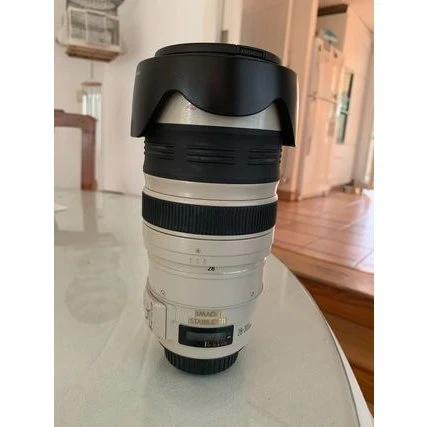 Canon EF 28-300mm f/3.5-5.6 L IS USM